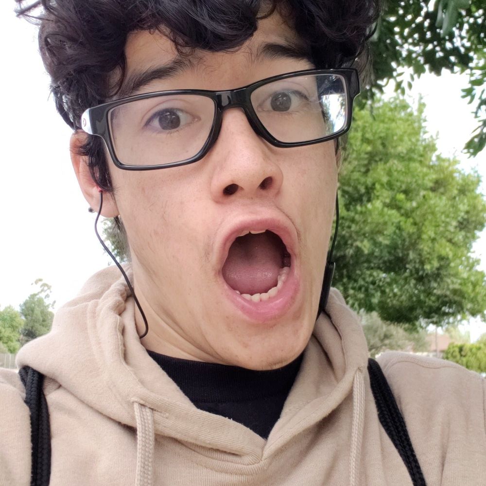 Meet your Posher, Leonardo